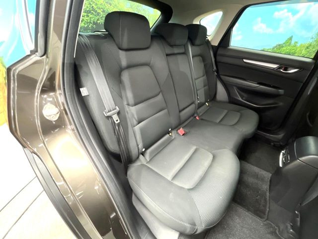 �㕔���Ȃ��C�ɂȂ�悤�ȃL�Y�E�����ւ��蓙�A�傫�ȃ_���[�W�͂Ȃ��A�ǍD�ȏ�Ԃł��B