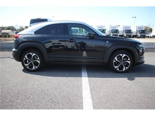 ���Ǝҗl�ւ̔̔��͂��f�肳���Ă��������܂��B �Ԍ������ԗ��̏ꍇ�́A�Ԍ����擾�������x�������z�ŕ\�����Ă���܂��B