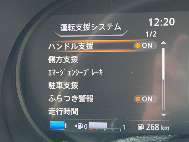 �y�C���e���W�F���g�G�}�[�W�F���V�[�u���[�L�z�t�����g�J�����őO���̎ԗ�����s�҂����m�B�Փ˂������Ȏ��͏Փ˔�Q�y���u���[�L���쓮�A�Փˉ�����T�|�[�g�B�����S�Ƀh���C�u�����y���݂��������܂��B