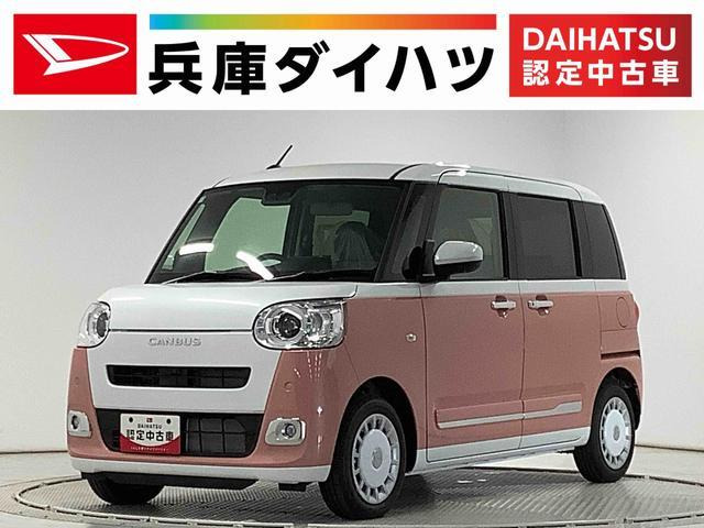 ムーヴキャンバスストライプス G