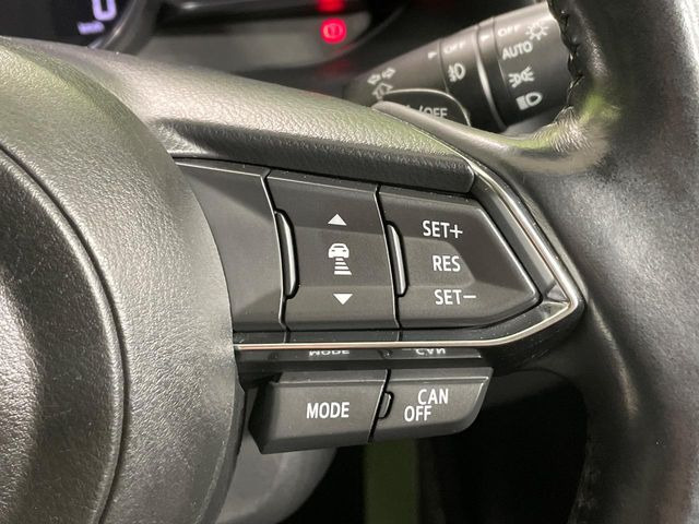 �y�}�c�_�E���[�_�[�N���[�Y�R���g���[���z�������H�ł̒��������s���y��!�����ő��x��ۂN���[�Y�R���g���[�����A�Փˌy���V�X�e���ƘA�g���A�O���̎ԗ������m���ĎԊԂ�ۂ悤�ɑ��x���߂��Ă���܂�!!