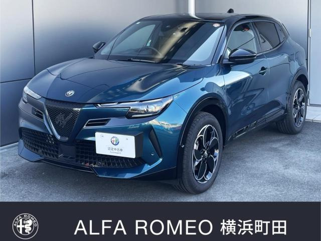 ジュニアイブリダ プレミアム