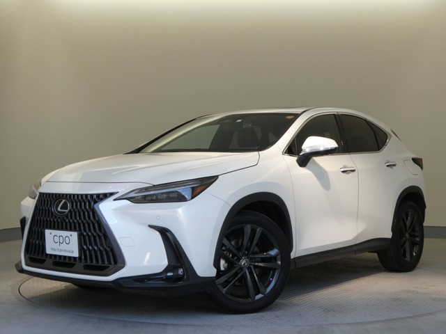 NX250 バージョンL