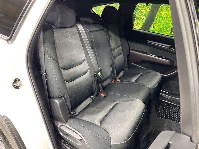 �㕔���Ȃ��C�ɂȂ�悤�ȃL�Y�E�����ւ��蓙�A�傫�ȃ_���[�W�͂Ȃ��A�ǍD�ȏ�Ԃł��B