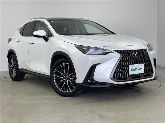 NX250 バージョンL