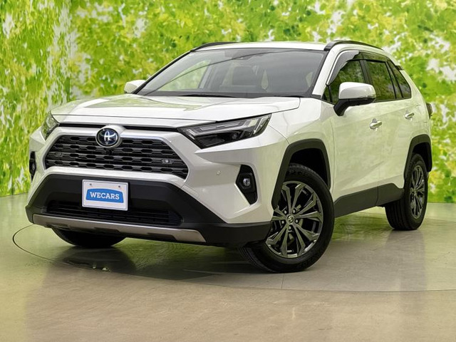 RAV42.5 ハイブリッド G E-Four 4WD