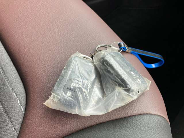 ���L�[�t���[�V�X�e���������R���L�[���g�т��Ă���΃L�[���|�P�b�g�Ȃǂ���o���Ȃ��Ă��h�A�̎{���E��������уG���W���n�����o���܂�!