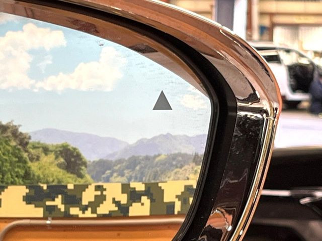 �y�u���C���h�X�|�b�g���[�j���O�z���s���A�h�A�~���[�̎��p�ɂȂ�₷���ӏ��Ɍ㑱�Ԃ��ڋ߂���ƃT�C�h�~���[�t�߂Ɍx����\���A�h���C�o�[�ɒ��ӊ��N�����Ă���܂��B