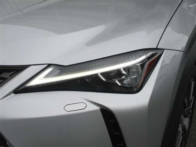 UX250h バージョンL