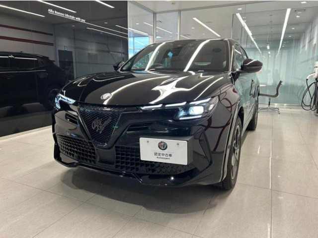 ジュニアイブリダ プレミアム