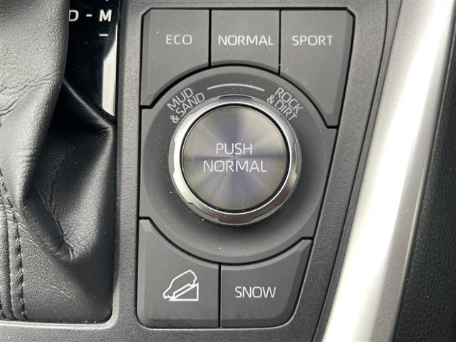 RAV42.0 アドベンチャー オフロードパッケージ II 4WD