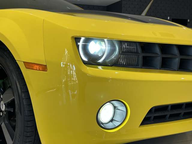 �d��:�����A�[�o���p�[�N���C�����؍�w���k����5��&rArr;