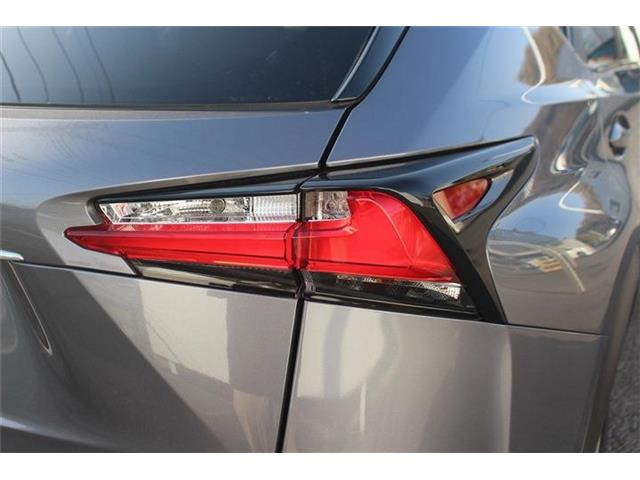 �����X�o���Ȃ����q�l�A���Ǝҗl�ւ̔̔��͂��f�肳���Ă��������܂��B�Ԍ������ԗ��̏ꍇ�́A�Ԍ����擾�������x�������z�ŕ\�����Ă���܂��B