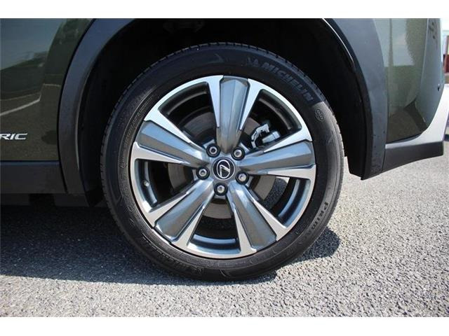 ���Ǝҗl�ւ̔̔��͂��f�肳���Ă��������܂��B �Ԍ������ԗ��̏ꍇ�́A�Ԍ����擾���������Ǝҗl�ւ̔̔��͂��f�肳���Ă��������܂��B �Ԍ������ԗ��̏ꍇ�́A�Ԍ����擾�������x�������z�ŕ\�����Ă���܂��B