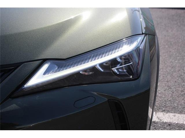 ���Ǝҗl�ւ̔̔��͂��f�肳���Ă��������܂��B �Ԍ������ԗ��̏ꍇ�́A�Ԍ����擾�������x�������z�ŕ\���Ǝҗl�ւ̔̔��͂��f�肳���Ă��������܂��B �Ԍ������ԗ��̏ꍇ�́A�Ԍ����擾�������x�������z�ŕ\����