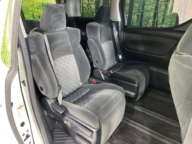 �㕔���Ȃ��C�ɂȂ�悤�ȃL�Y�E�����ւ��蓙�A�傫�ȃ_���[�W�͂Ȃ��A�ǍD�ȏ�Ԃł��B