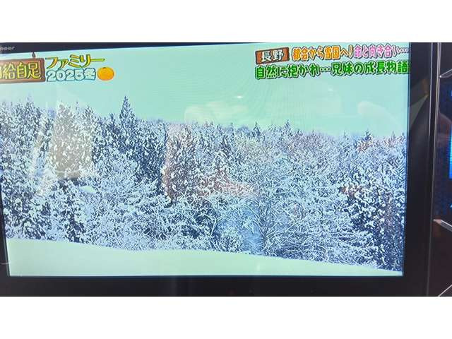 ノア2.0 Si W×B III 4WD