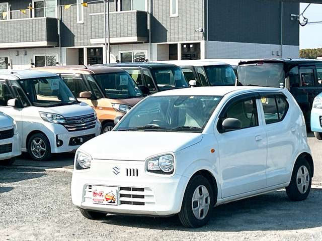 �y39.8���X�J�[�Y�̎��q���������������A���ɂ��肪�Ƃ��������܂��B���������S�s���c1186-7TEL:0942-73-6060�܂ł��⍇����������