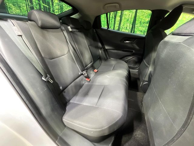 �㕔���Ȃ��C�ɂȂ�悤�ȃL�Y�E�����ւ��蓙�A�傫�ȃ_���[�W�͂Ȃ��A�ǍD�ȏ�Ԃł��B