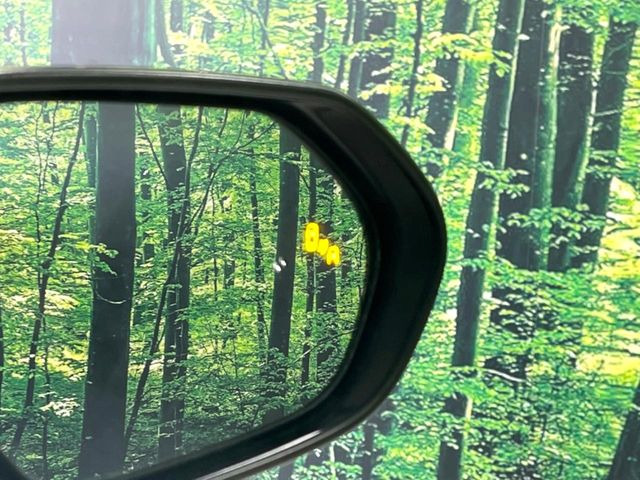 �y�u���C���h�X�|�b�g���j�^�[�z���s���A�h�A�~���[�̎��p�ɂȂ�₷���ӏ��Ɍ㑱�Ԃ��ڋ߂���ƃT�C�h�~���[�̃����Y�Ɍx����\��!�h���C�o�[�ɒ��ӊ��N�����Ă���܂��B