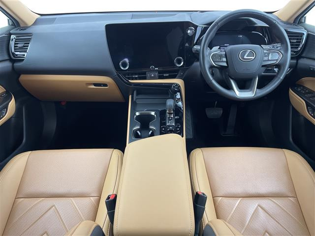 NX250 バージョンL