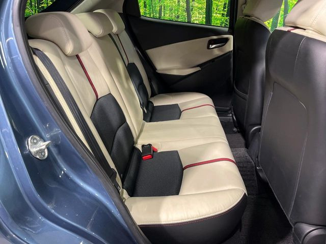 �㕔���Ȃ��C�ɂȂ�悤�ȃL�Y�E�����ւ��蓙�A�傫�ȃ_���[�W�͂Ȃ��A�ǍD�ȏ�Ԃł��B