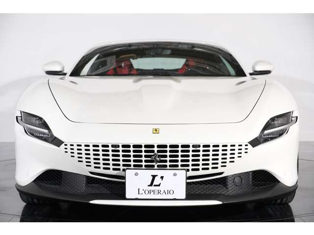 �ЂƖڂœ`���㎿���B�ԗ����̂͑傫���Ȃ����̂́A���݊����郍�[�}�̓G���K���X�ƃX�|�[�c���\���� ���ɗZ������GT���f���ł��B