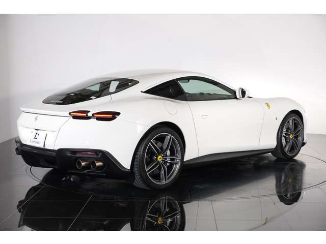 ���[�}�����Â��Ȕ��͂��A��l�̗������[���L���ɂ���B���Ɛ��\�̒��a�����́B