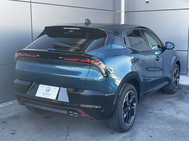 ジュニアイブリダ プレミアム