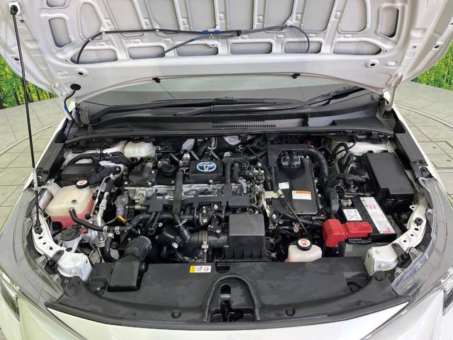 ���S���̃l�N�X�e�[�W���炨���񂹂��\��!�����̓X�܂ɓW�����Ă���N���}���C�ɂȂ�ꍇ���A�Ŋ��̓X�܂ł��������������Ƃ��\�ł�!���񎄂����ɗv�]������������������!���ʓr��p