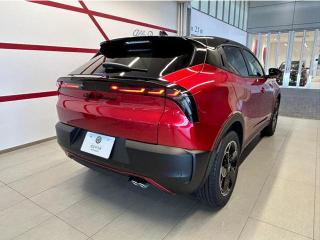 ジュニアイブリダ スペチアーレ