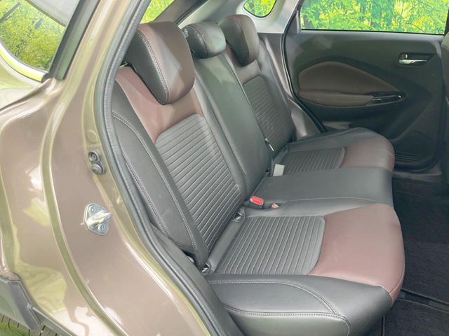 �㕔���Ȃ��C�ɂȂ�悤�ȃL�Y�E�����ւ��蓙�A�傫�ȃ_���[�W�͂Ȃ��A�ǍD�ȏ�Ԃł��B