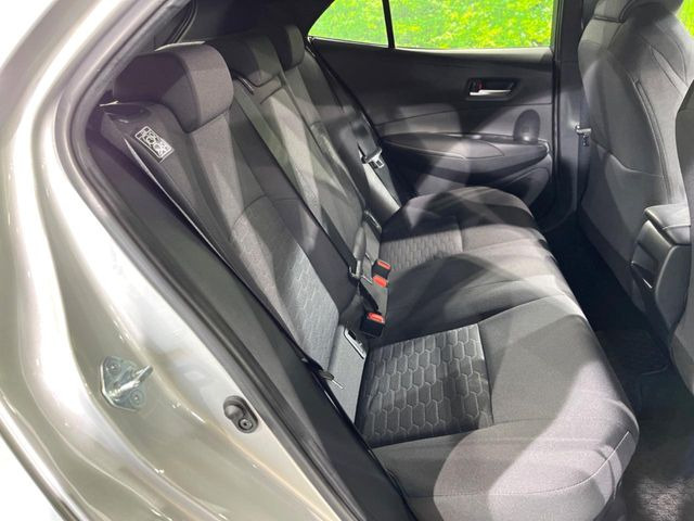 �㕔���Ȃ��C�ɂȂ�悤�ȃL�Y�E�����ւ��蓙�A�傫�ȃ_���[�W�͂Ȃ��A�ǍD�ȏ�Ԃł��B