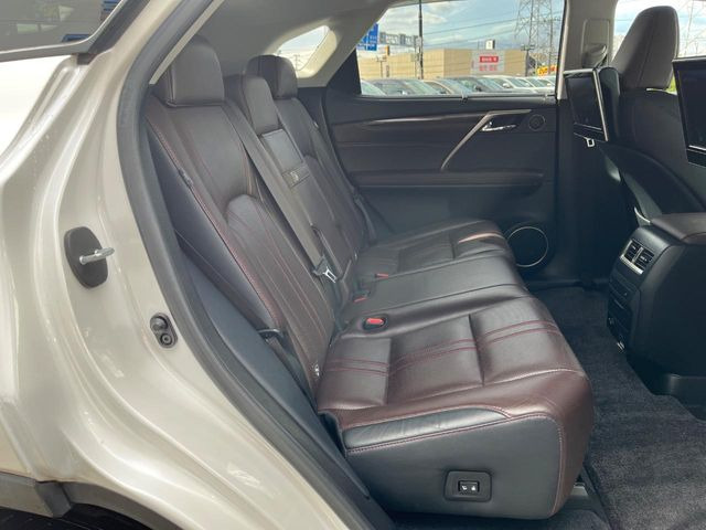 �㕔���Ȃ��C�ɂȂ�悤�ȃL�Y�E�����ւ��蓙�A�傫�ȃ_���[�W�͂Ȃ��A�ǍD�ȏ�Ԃł��B