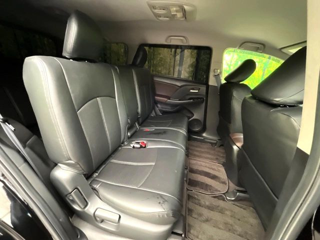 �㕔���Ȃ��C�ɂȂ�悤�ȃL�Y�E�����ւ��蓙�A�傫�ȃ_���[�W�͂Ȃ��A�ǍD�ȏ�Ԃł��B