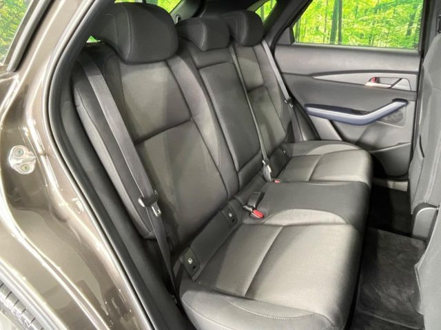 �㕔���Ȃ��C�ɂȂ�悤�ȃL�Y�E�����ւ��蓙�A�傫�ȃ_���[�W�͂Ȃ��A�ǍD�ȏ�Ԃł��B