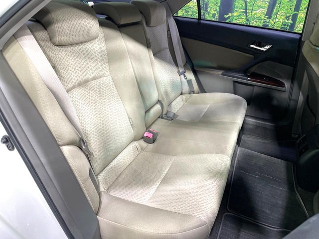 �㕔���Ȃ��C�ɂȂ�悤�ȃL�Y�E�����ւ��蓙�A�傫�ȃ_���[�W�͂Ȃ��A�ǍD�ȏ�Ԃł��B