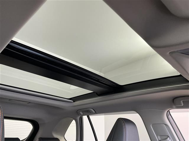 RAV42.5 ハイブリッド アドベンチャー E-Four 4WD