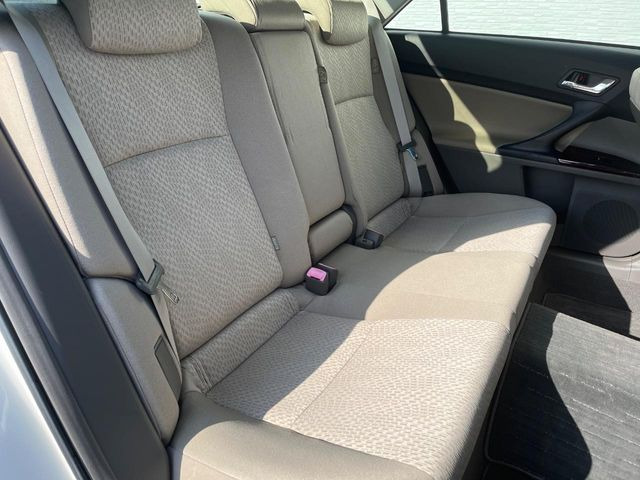 �㕔���Ȃ��C�ɂȂ�悤�ȃL�Y�E�����ւ��蓙�A�傫�ȃ_���[�W�͂Ȃ��A�ǍD�ȏ�Ԃł��B