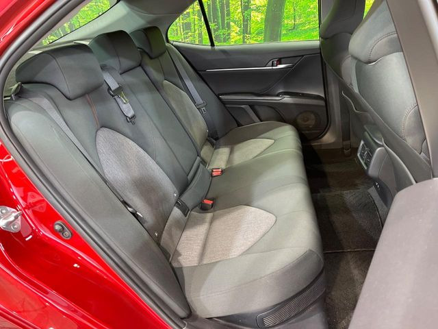 �㕔���Ȃ��C�ɂȂ�悤�ȃL�Y�E�����ւ��蓙�A�傫�ȃ_���[�W�͂Ȃ��A�ǍD�ȏ�Ԃł��B