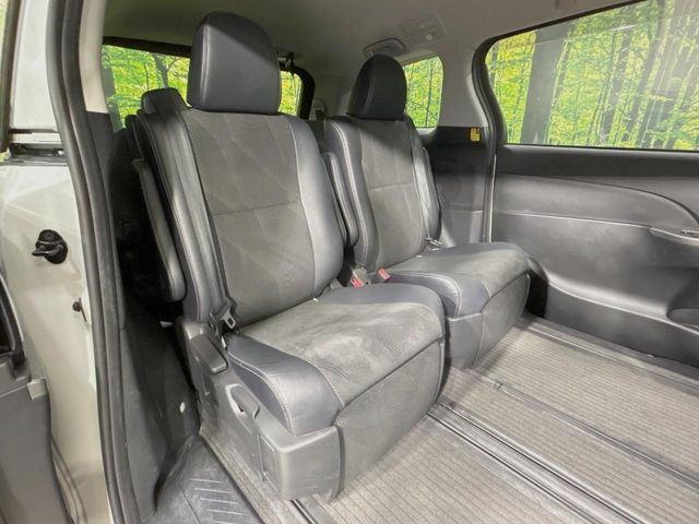 �㕔���Ȃ��C�ɂȂ�悤�ȃL�Y�E�����ւ��蓙�A�傫�ȃ_���[�W�͂Ȃ��A�ǍD�ȏ�Ԃł��B