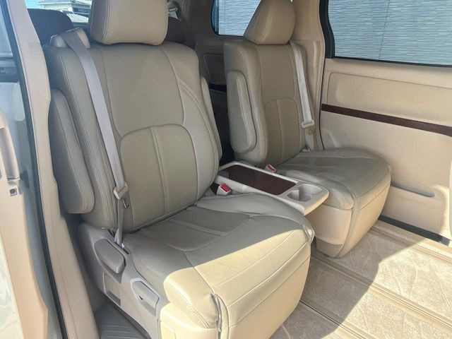 �㕔���Ȃ��C�ɂȂ�悤�ȃL�Y�E�����ւ��蓙�A�傫�ȃ_���[�W�͂Ȃ��A�ǍD�ȏ�Ԃł��B