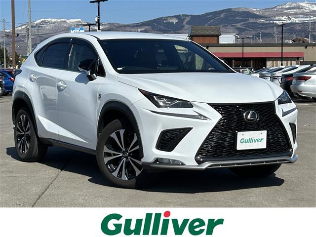 NX300 Fスポーツ 4WD