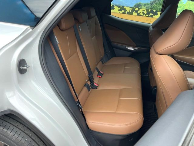 �㕔���Ȃ��C�ɂȂ�悤�ȃL�Y�E�����ւ��蓙�A�傫�ȃ_���[�W�͂Ȃ��A�ǍD�ȏ�Ԃł��B