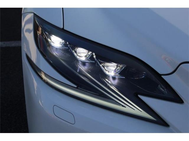 ���Ǝҗl�ւ̔̔��͂��f�肳���Ă��������܂��B �Ԍ������ԗ��̏ꍇ�́A�Ԍ����擾�������x�������z�ŕ\�����Ă���܂��B