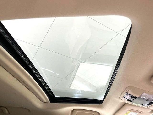 �y�T�����[�t�z�J���������Ղ�̊󏭑����A�T�����[�t����������Ă��܂�!�ԓ��ɖ�����������ꂽ��i�F���y���ވȊO�ɂ��A�ԓ��̋�C���ȒP�Ɋ��C�ł��ĉ��K�ł�!