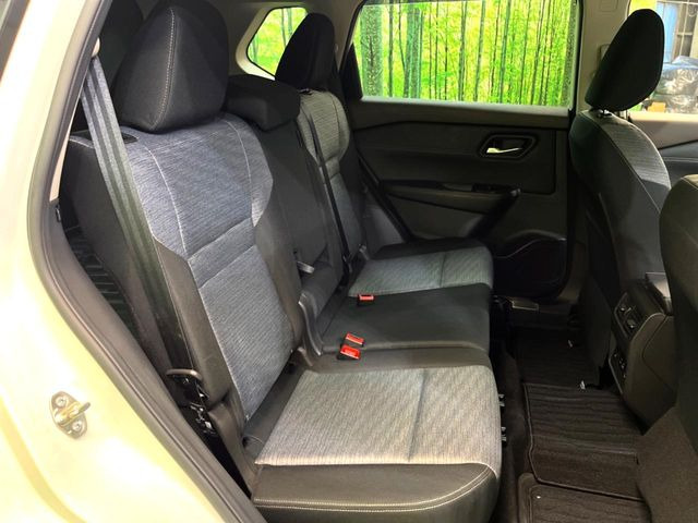 �㕔���Ȃ��C�ɂȂ�悤�ȃL�Y�E�����ւ��蓙�A�傫�ȃ_���[�W�͂Ȃ��A�ǍD�ȏ�Ԃł��B