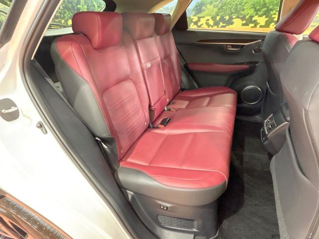 �㕔���Ȃ��C�ɂȂ�悤�ȃL�Y�E�����ւ��蓙�A�傫�ȃ_���[�W�͂Ȃ��A�ǍD�ȏ�Ԃł��B