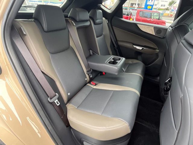 �㕔���Ȃ��C�ɂȂ�悤�ȃL�Y�E�����ւ��蓙�A�傫�ȃ_���[�W�͂Ȃ��A�ǍD�ȏ�Ԃł��B