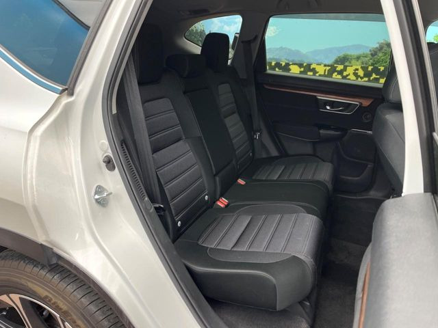 �㕔���Ȃ��C�ɂȂ�悤�ȃL�Y�E�����ւ��蓙�A�傫�ȃ_���[�W�͂Ȃ��A�ǍD�ȏ�Ԃł��B